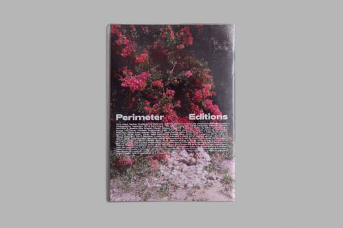 00015 Bureau Collective Dafy Hagai Spring