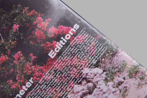 00019 Bureau Collective Dafy Hagai Spring